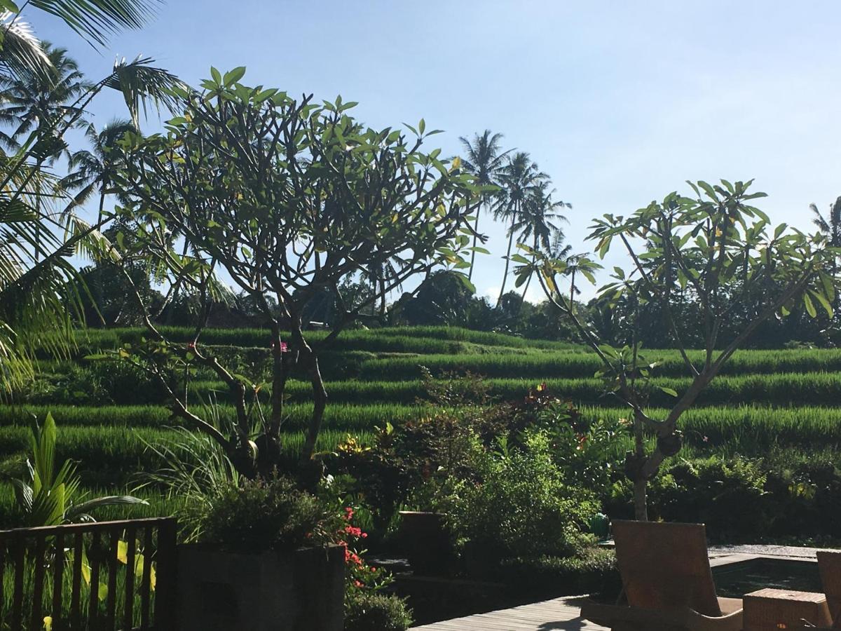 Puri Raya Villa Ubud