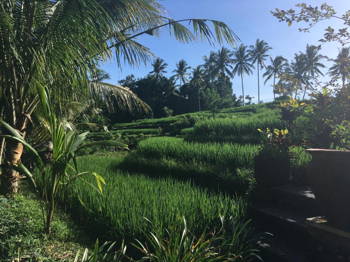 Puri Raya Villa Ubud