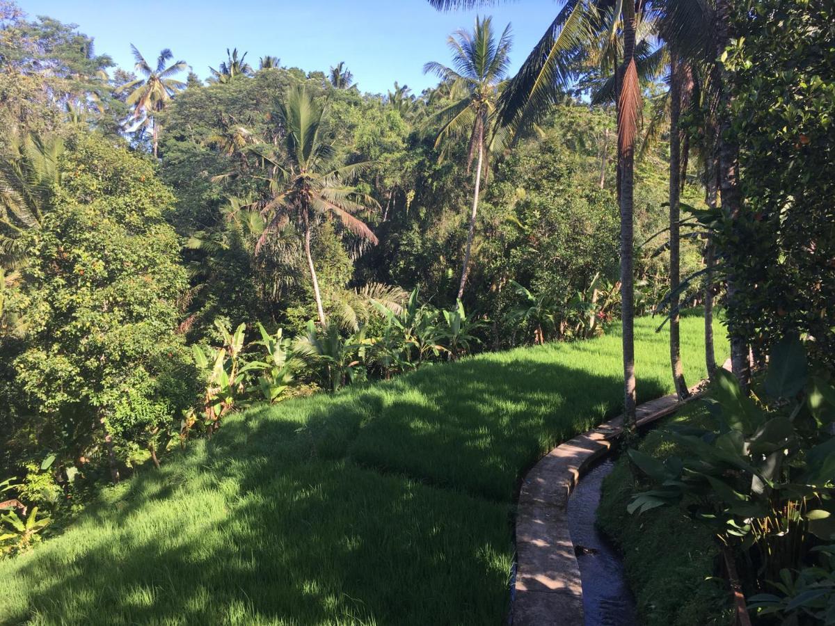 Villa Puri Raya Ubud