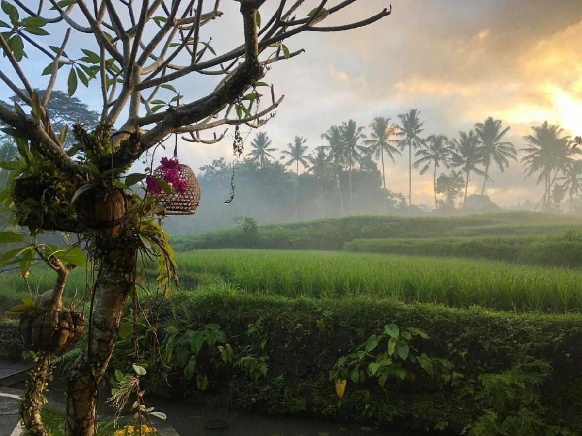 Puri Raya Villa Ubud