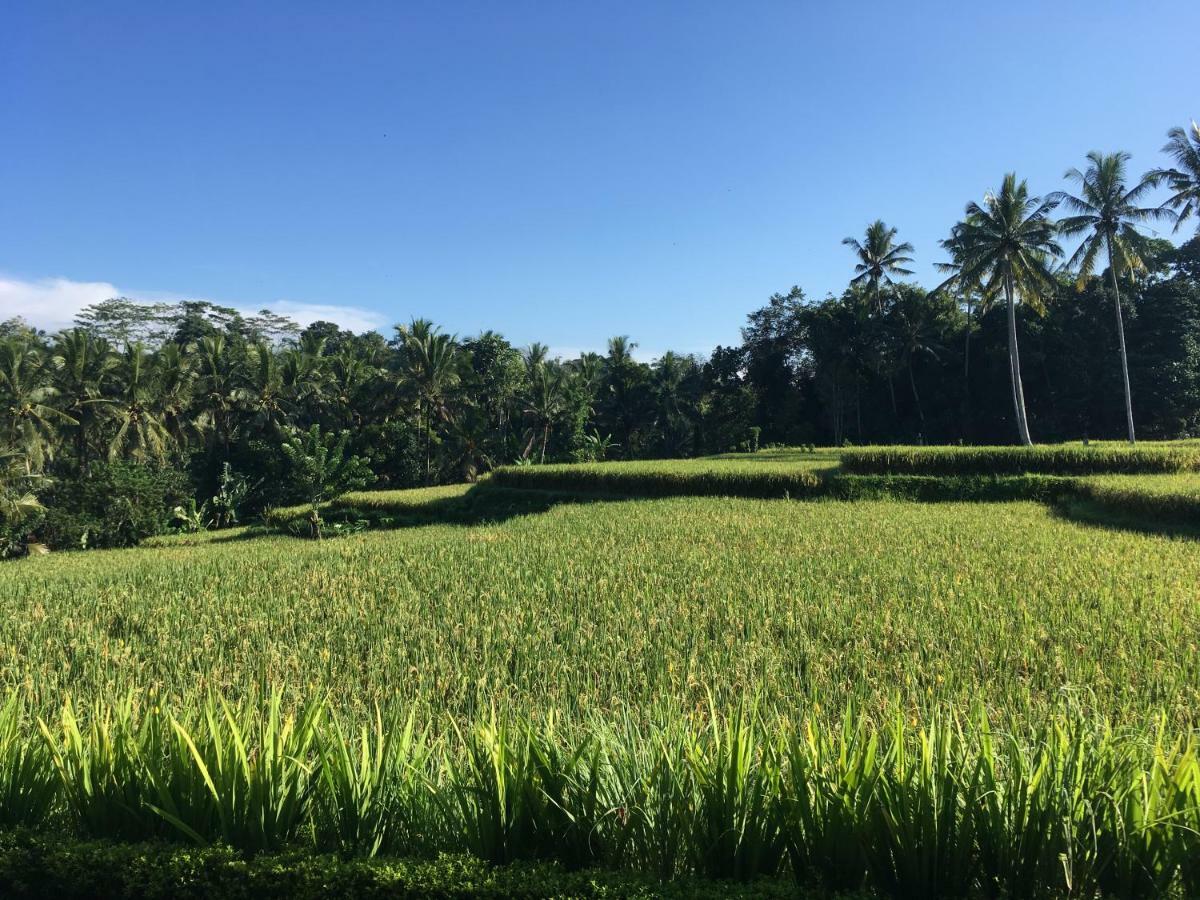 Puri Raya Ubud